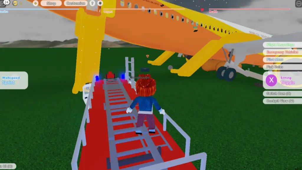 Captura de tela do simulador de pouso de emergência Roblox