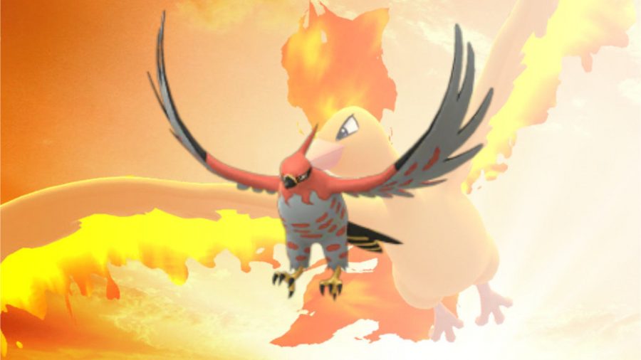 pokémon de fogo talonflame