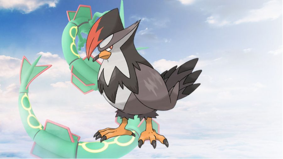 Pokémon Voador Staraptor