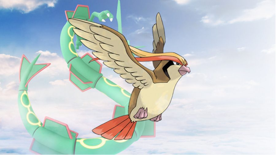 Pidgeot Pokémon Voador