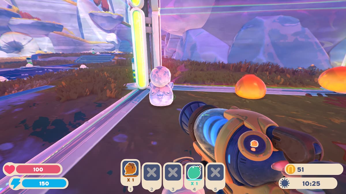 ringtail de pedra em slime rancher 2