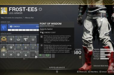 Destiny 2 Font of Wisdom mod on armor.
