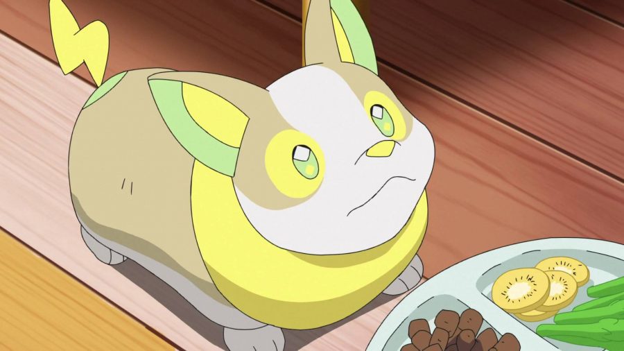 Melhor Pokémon de cachorro: o Pokémon do tipo elétrico Yamper olha para cima de sua comida