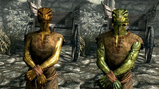 Corridas de Skyrim - um Argoniano masculino e feminino