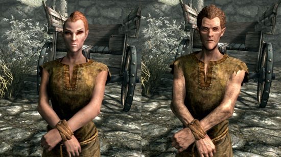 Corridas de Skyrim - um elfo de madeira masculino e feminino