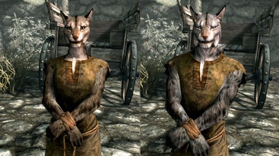 Corridas de Skyrim - um Khajiit masculino e feminino