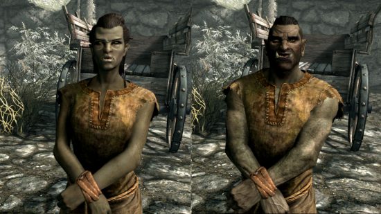 Corridas de Skyrim - um Orc masculino e feminino