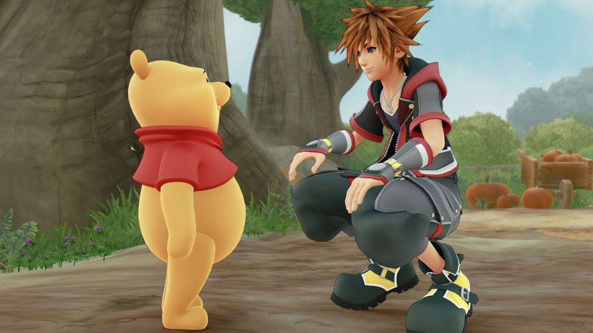 Sora talking to Winnie the Pooh