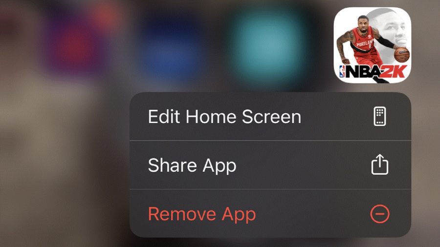 Uma captura de tela da opção remover aplicativo no iPhone