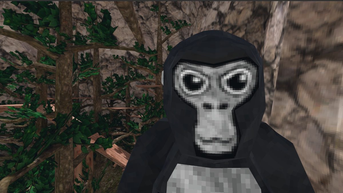 Gorila Tag Macaco