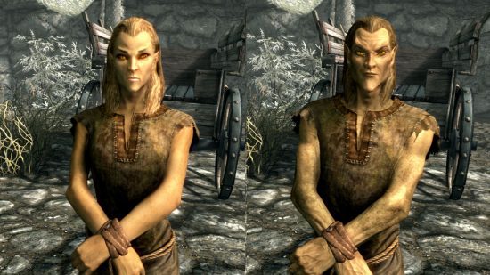 Corridas de Skyrim - um elfo alto masculino e feminino