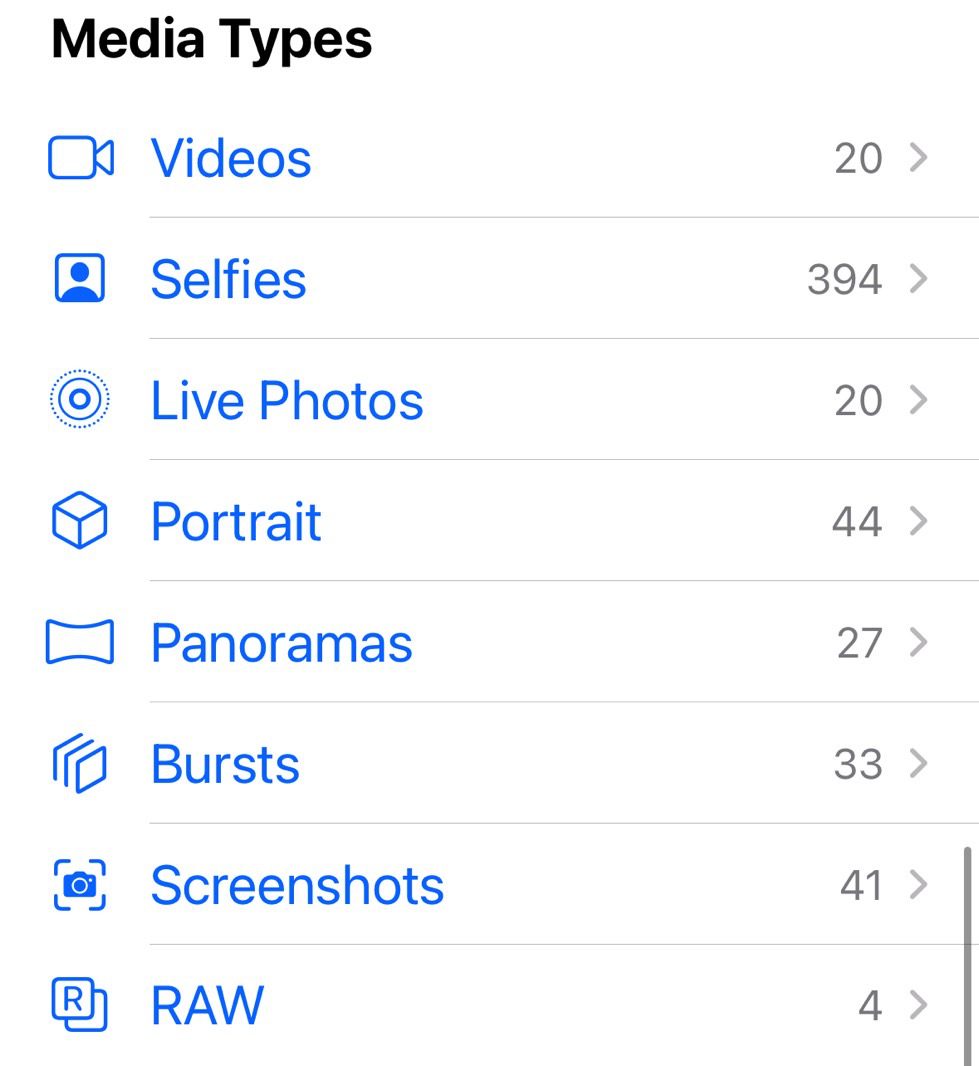 A seção Tipos de mídia no menu Álbum de fotos pode ajudá-lo a liberar o armazenamento do iPhone com facilidade.